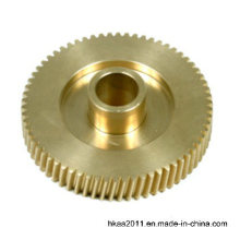 Bronze Spur Gear, Brass Helical Gear, Motor Gear